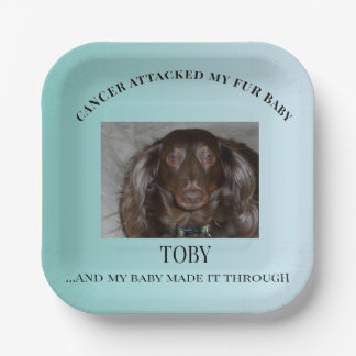 Fur Baby Survivor Celebration Art Paper Plate