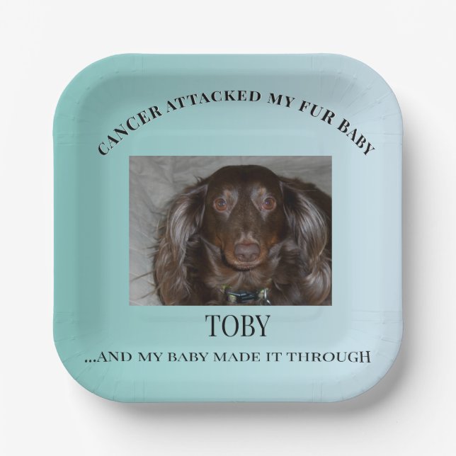 Fur Baby Survivor Celebration Art Paper Plate (Front)