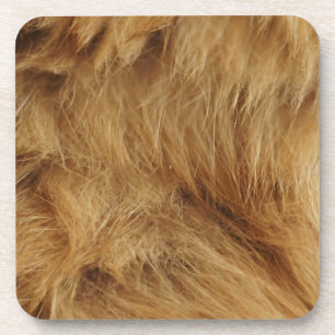 Fur Coaster