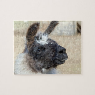 Fur Face Jigsaw Puzzle