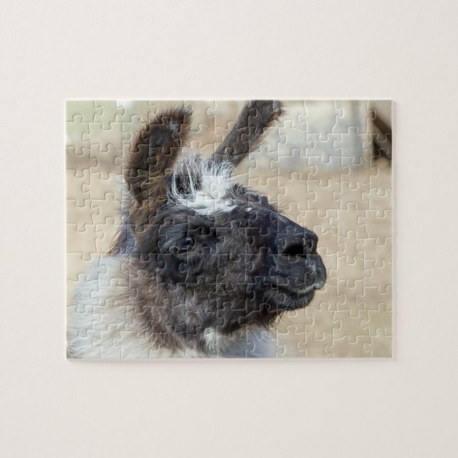 Fur Face Jigsaw Puzzle (Horizontal)