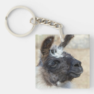 Fur Face Key Ring
