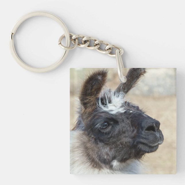 Fur Face Key Ring (Front)