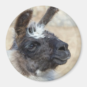 Fur Face Magnet