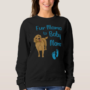 Fur Mama To Baby Mama With A Golden Retriever Illu Sweatshirt
