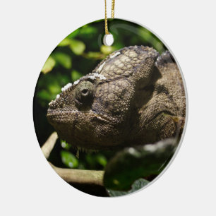 Furcifer oustaleti ceramic tree decoration