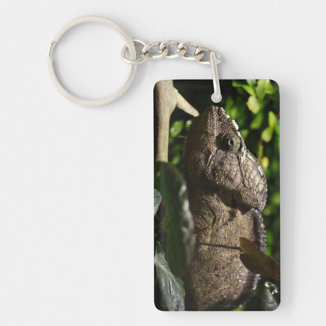 Furcifer oustaleti key ring (Front)