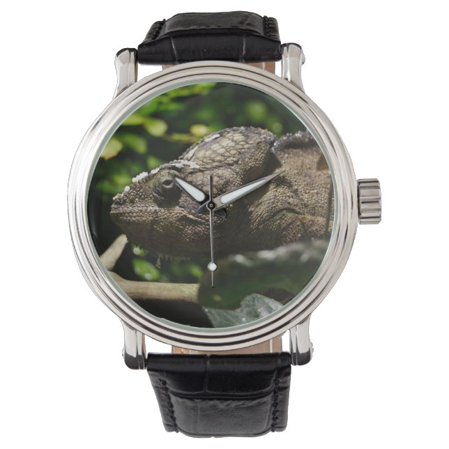 Furcifer oustaleti watch (Front)