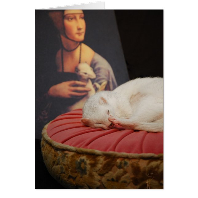 Furet sur coussin rose II (Front)