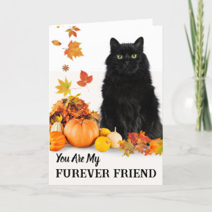 Furever Friend Cute Halloween with Black Cat Card