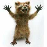 FURIOUSLY HAPPY RACCOON STANDING PHOTO SCULPTURE<br><div class="desc">A tiny Rory Racoon statue for your desk.   He is always happy to see you and will never leave you hanging.</div>