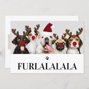 Furlalala Dog Christmas 5 Photo Card