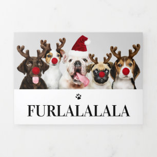 Furlalala Dog Themed Photo Personalised Christmas Tri-Fold Holiday Card
