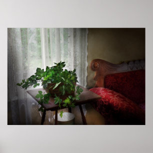 Furniture - Ivy in a window Poster