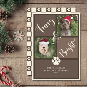 Furry And Bright Brown Photo Collage Dog  Holiday Card