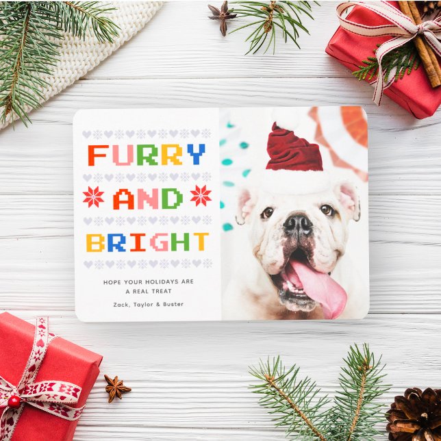 Furry and Bright | Christmas Holiday Pet Dog Photo (Creator Uploaded)