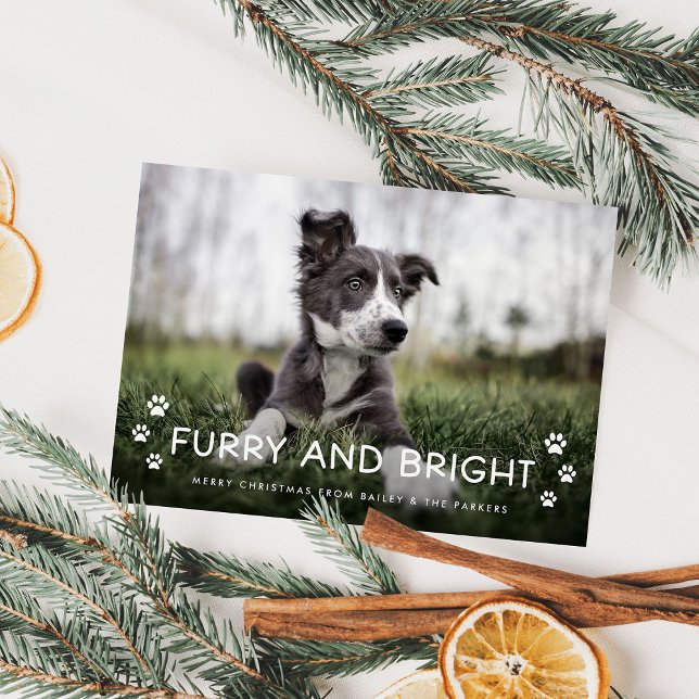 Furry and Bright | Christmas Photo from the Dog Holiday Card (An adorable Christmas holiday photo card from the dog)