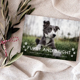 Furry and Bright   Christmas Photo from the Dog Magnetic Invitation