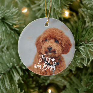 Furry and Bright Dog or Cat Photo Personalised Ceramic Ornament