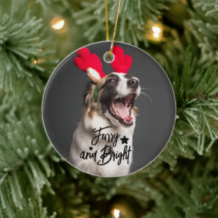Furry and Bright Dog or Cat Photo Personalised Ceramic Ornament
