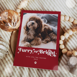 Furry And Bright Dog Photo Funny Christmas Holiday Card