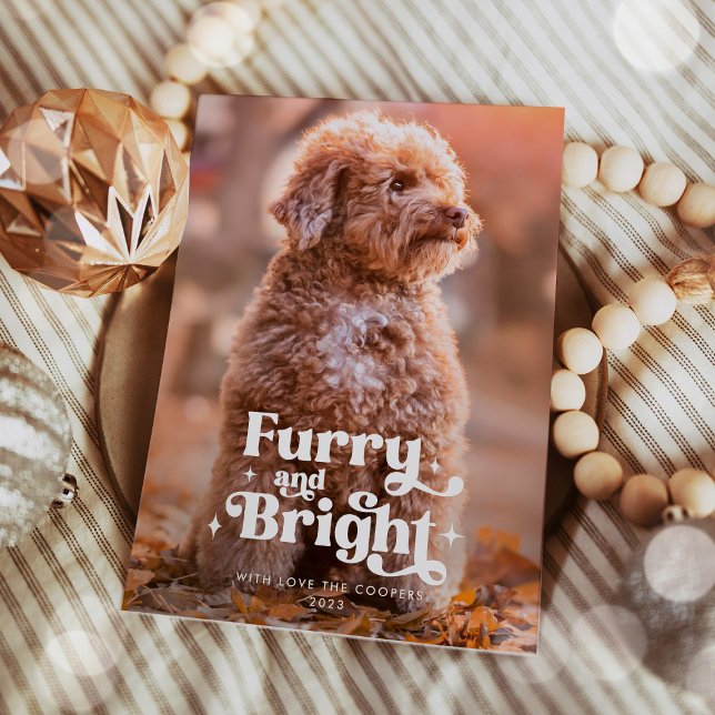 Furry And Bright Dog Photo Funny Christmas Holiday Card (Creator Uploaded)