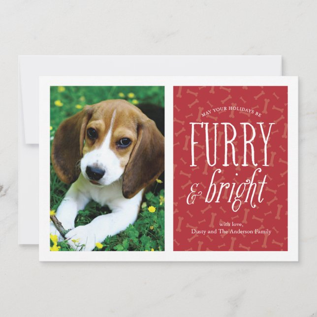 Furry and Bright Pet Photo Card (Front)