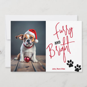 Furry and Bright Pet Photo Christmas Red Holiday Card