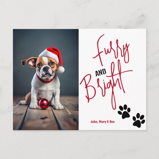 Furry and Bright Pet Photo Christmas Red Invitation Postcard (Front)