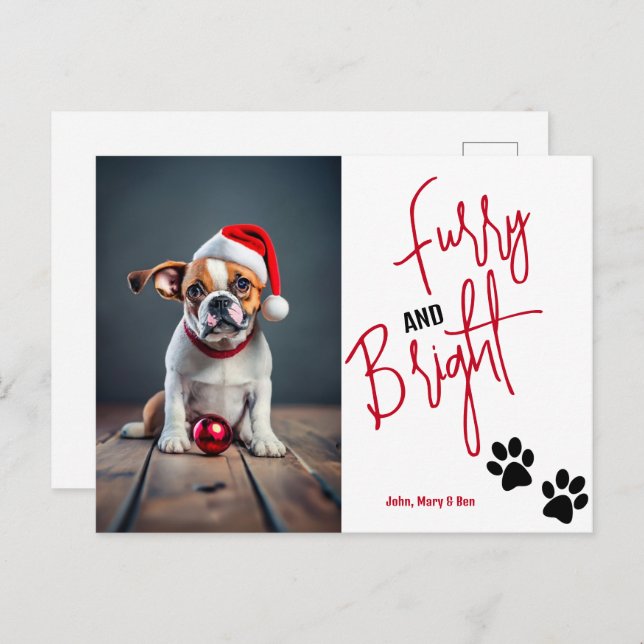 Furry and Bright Pet Photo Christmas Red Postcard (Front/Back)