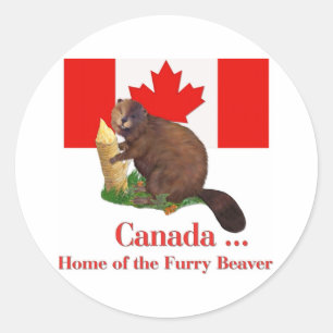 Furry Beaver Classic Round Sticker