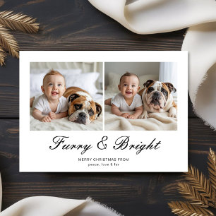 Furry & Bright Classic Family Christmas Card
