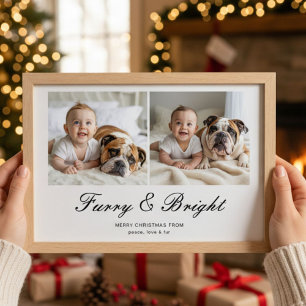 Furry & Bright Classic Family Christmas Card