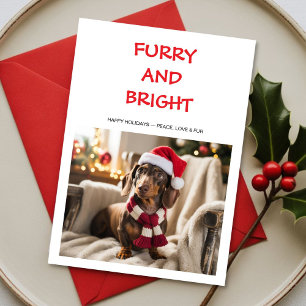 Furry & Bright Colorful dog Christmas Card