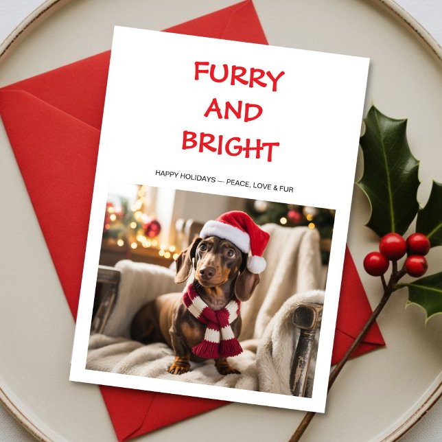 Furry & Bright Colourful dog Christmas Card (Creator Uploaded)