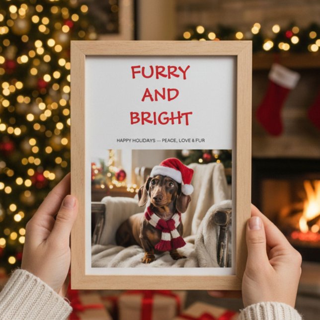Furry & Bright Colourful dog Christmas Card (Creator Uploaded)