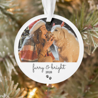Furry & Bright Custom Holiday Pet Photo Ornament