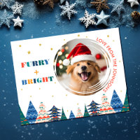 Furry & Bright Cute Dog Photo