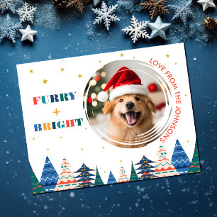 Furry & Bright Cute Dog Photo Holiday Card
