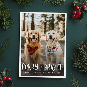 Furry Bright Cute Funny Pet Dog Photo Christmas Holiday Card