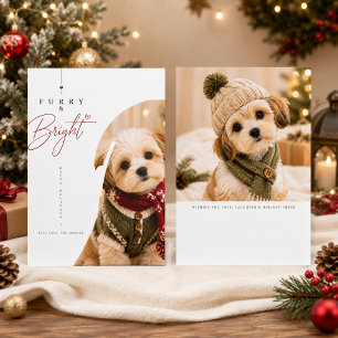 Furry & Bright Cute Puppy Christmas Holiday Photo Card