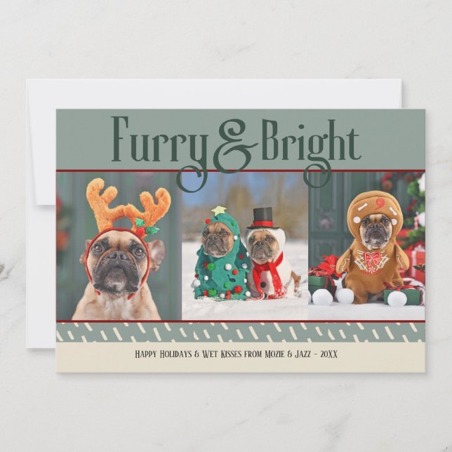 Furry & Bright Dog Christmas Photo Holiday Card (Front)