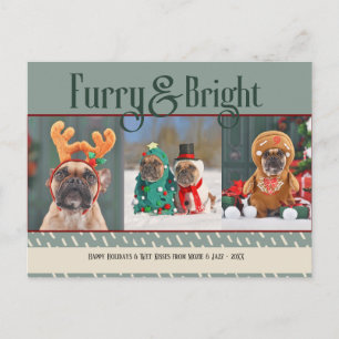 Furry& Bright Dog Christmas Photo Holiday Postcard