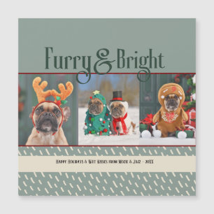 Furry& Bright Dog Christmas Photo Holiday Postcard