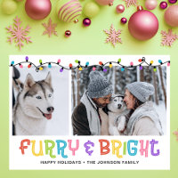 Furry & Bright Dog Photo