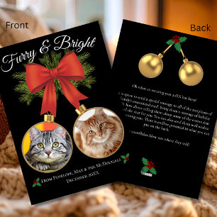 Furry & Bright Festive Photo Family Cat Holiday Card