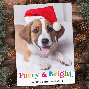 Furry & Bright Modern Colourful Pet Dog Photo Holiday Card