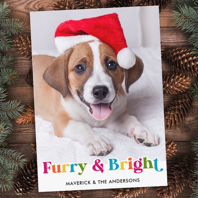 Furry & Bright Modern Colourful Pet Dog Photo Holiday Card (Creator Uploaded)