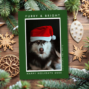 Furry & Bright Paw Print Green Pet Photo Christmas Holiday Card