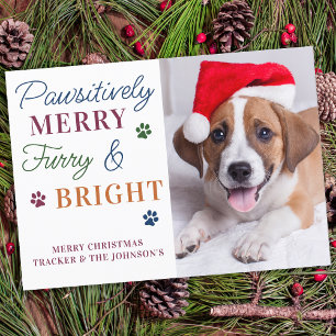 Furry & Bright Personalised Colourful Pet Dog Phot Holiday Card